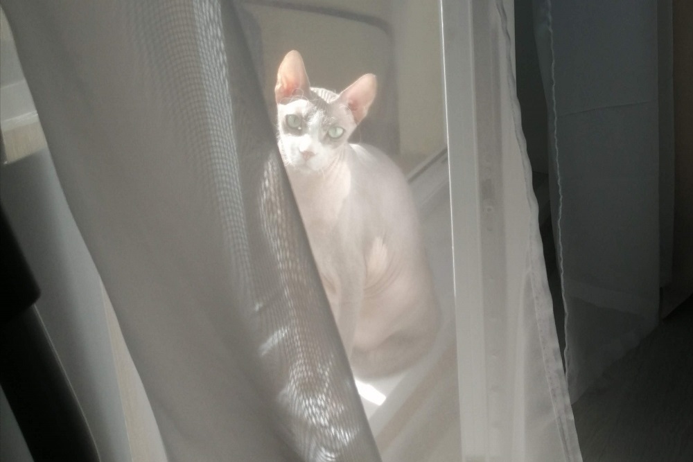 Как часто стирать шторы и портьеры: рекомендации экспертов