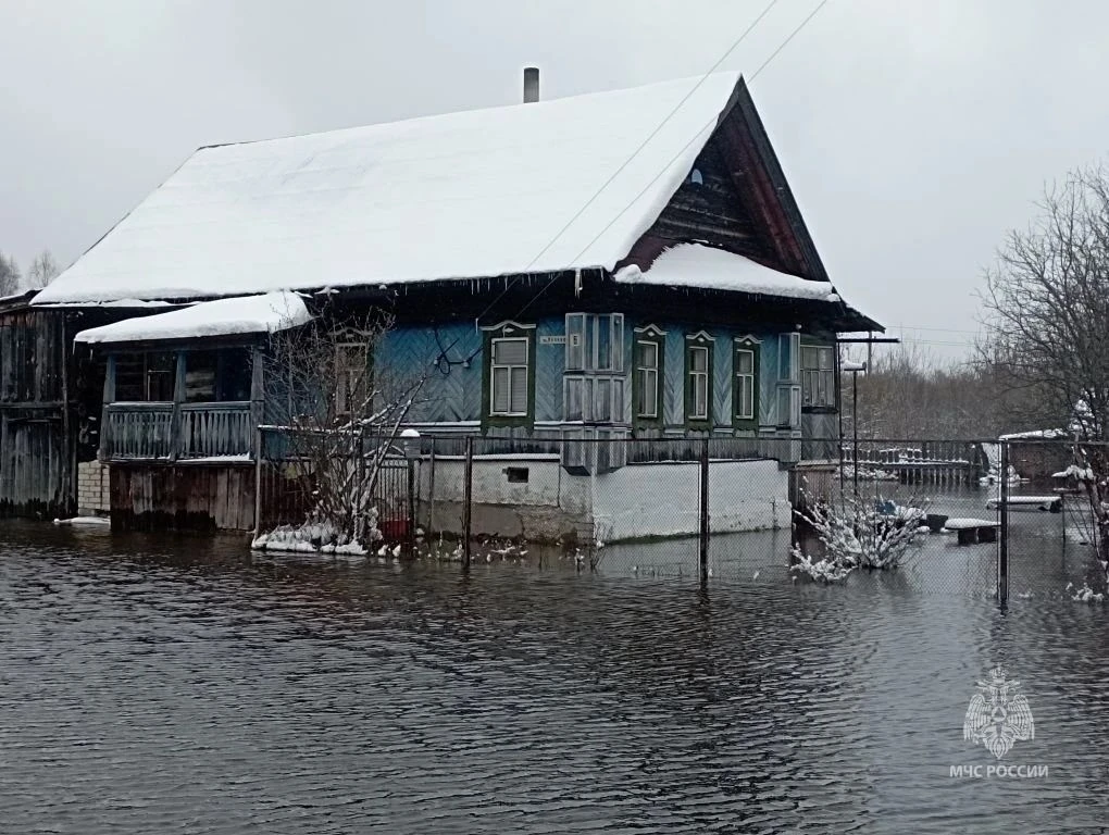 Пять приусадебных участков затопило в Нижегородской области после снегопада