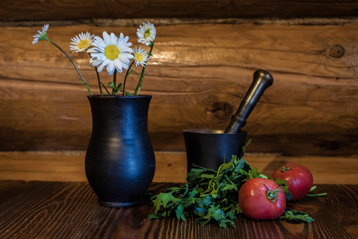 Нижегородским садоводам рассказали, как правильно выращивать кинзу