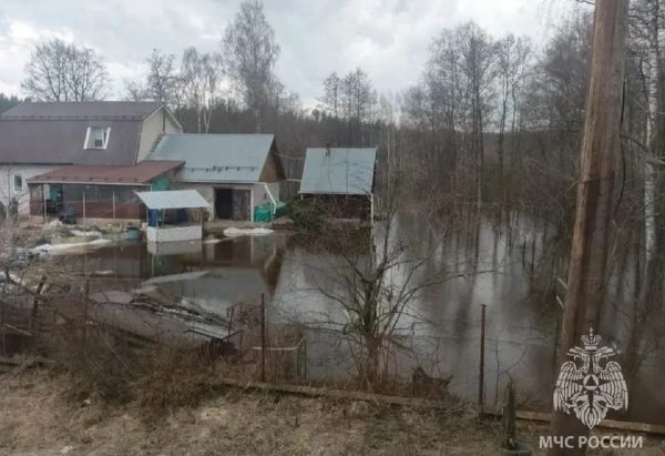 На лодке до магазина: как нижегородцы переживают паводок