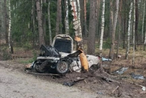 Три человека погибли в жестком ДТП в Ардатовском районе