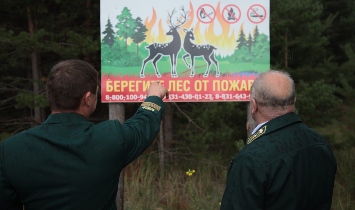 В лесах Нижегородской области установлен пожароопасный сезон