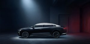 предоставлено брендом VOLGA