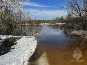 Шесть низководных мостов затопило в паводок в Нижегородской области