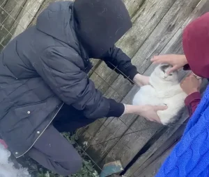 соцсети Юрия Шалабаева