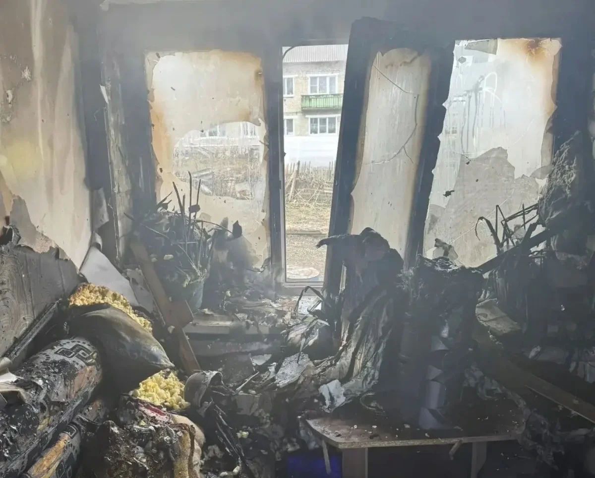 Двух человек госпитализировали после пожара в Павловском округе