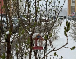 Рекордные осадки вызвали у нижегородцев всплеск активности на метеоресурсах