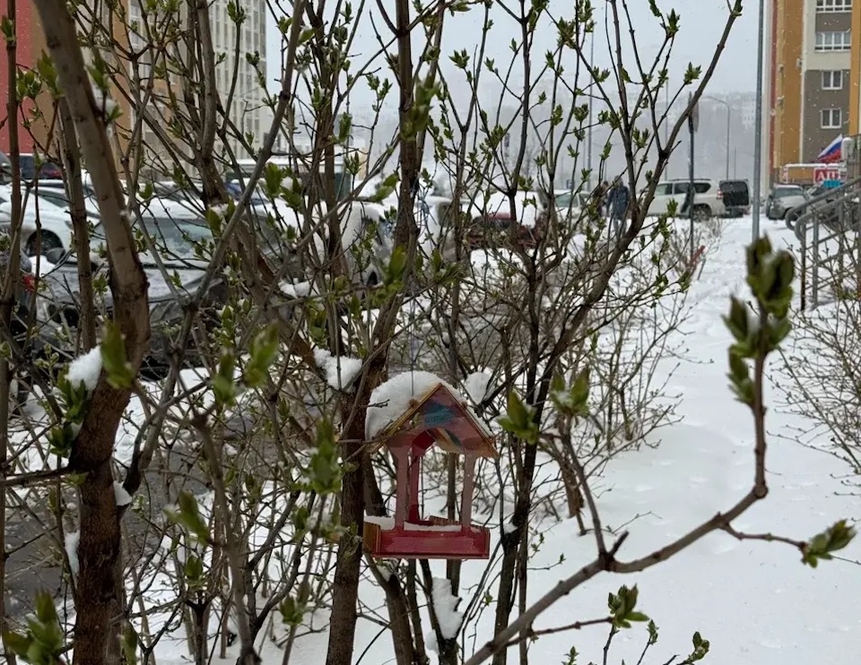 Рекордные осадки вызвали у нижегородцев всплеск активности на метеоресурсах
