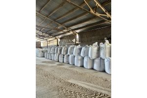 Социальные сети Юрия Шалабаева