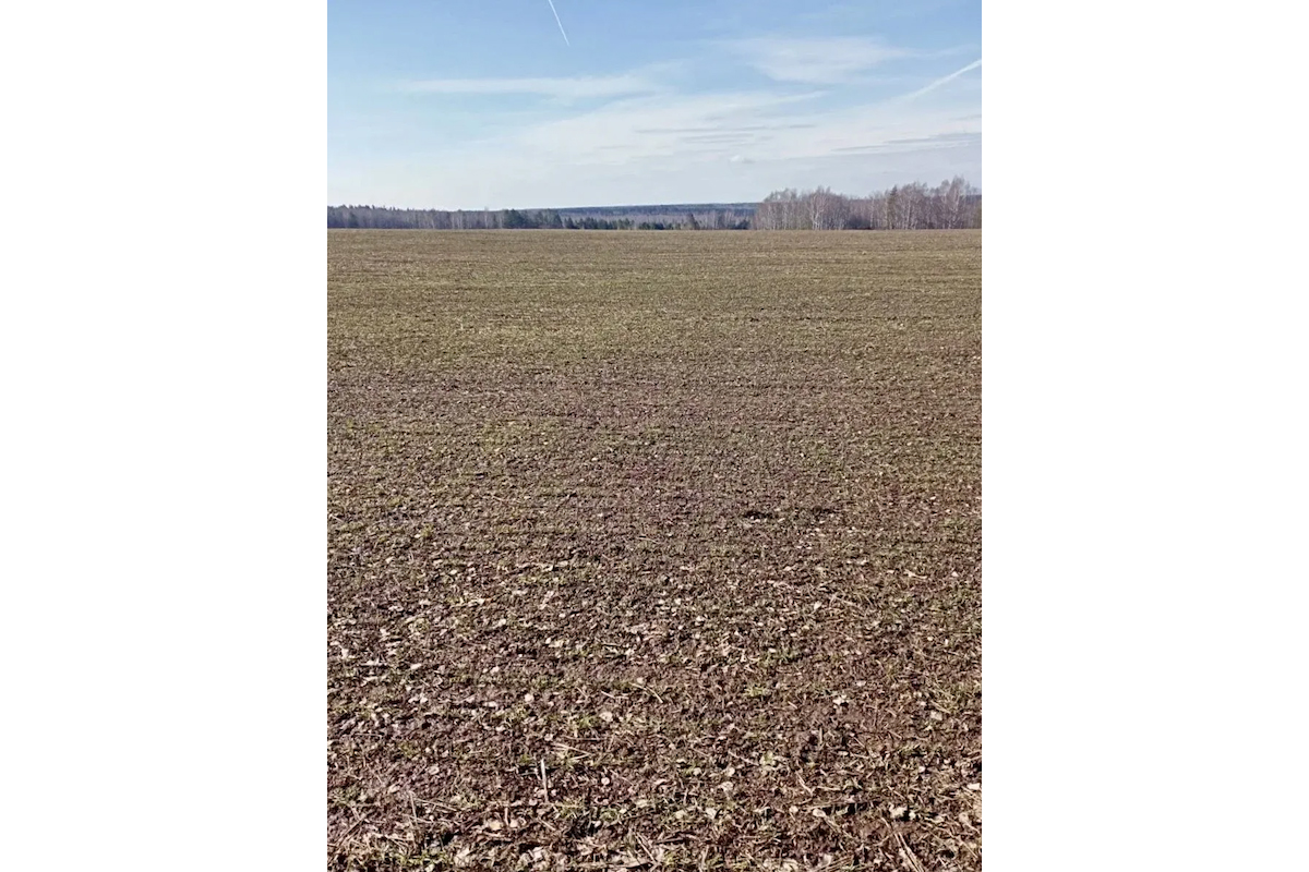 Социальные сети Юрия Шалабаева