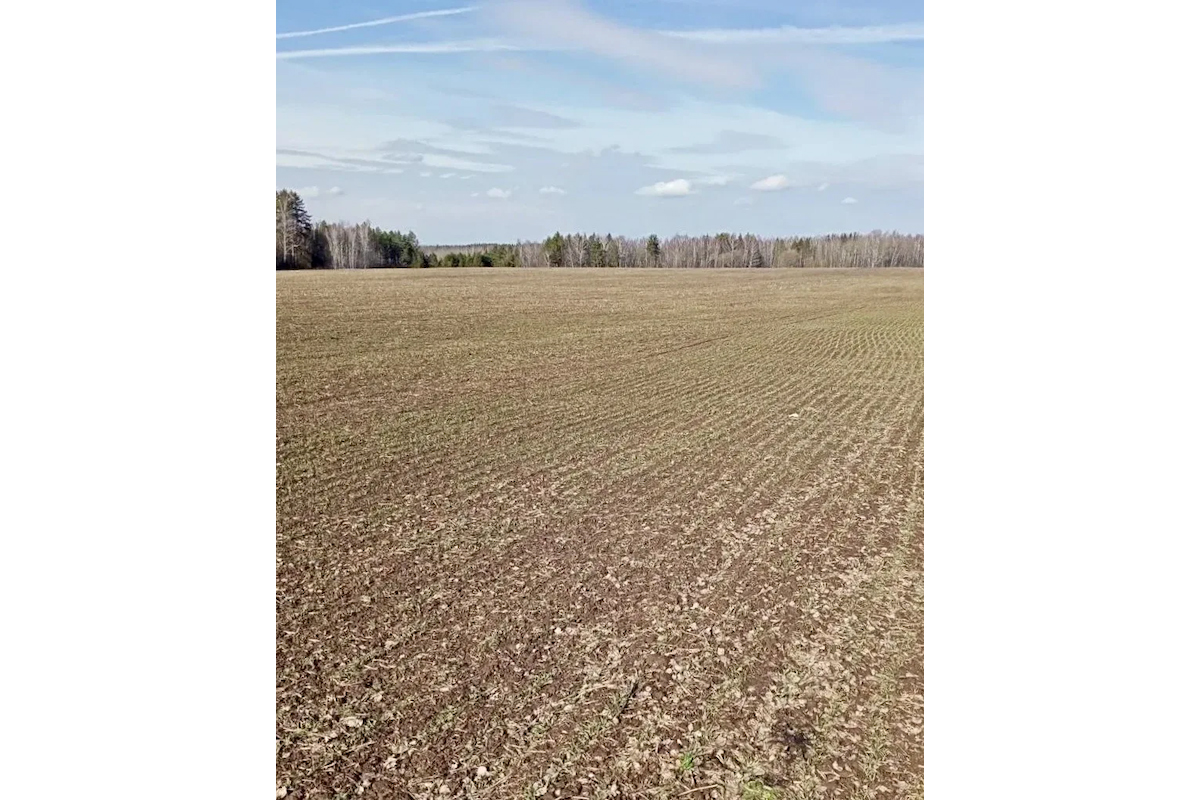 Социальные сети Юрия Шалабаева