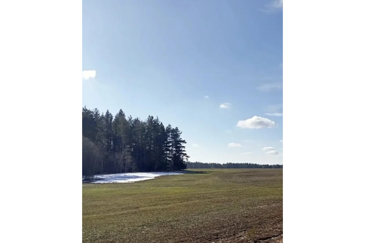 Социальные сети Юрия Шалабаева