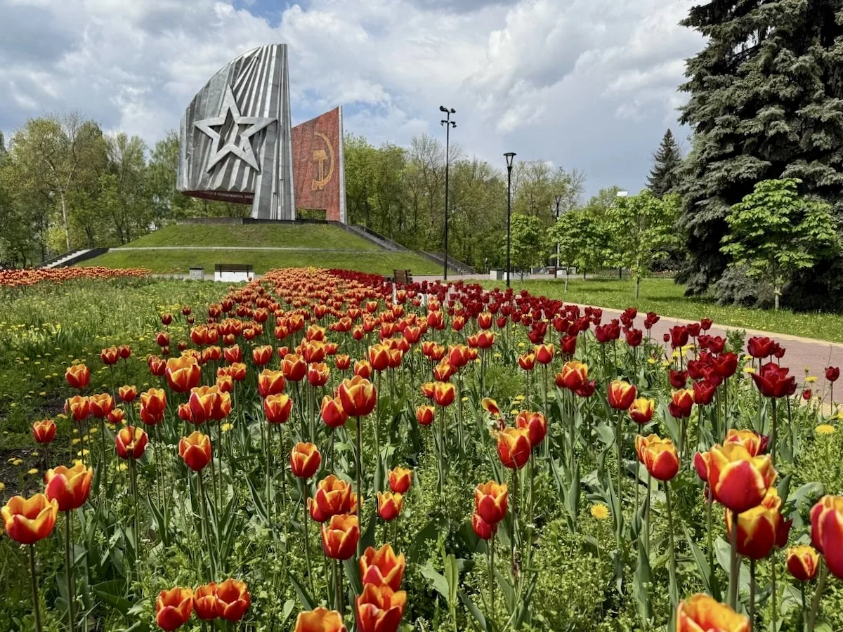 В Нижнем Новгороде высадят цветы к Дню Победы на площади более 21 тыс.кв. метров