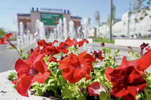 Социальные сети Юрия Шалабаева