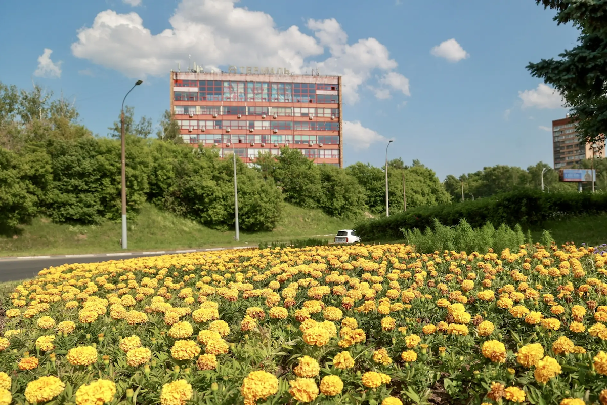 Социальные сети Юрия Шалабаева