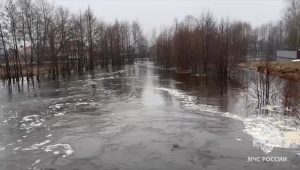 20 придомовых участков оказались подтоплены в Выксунском округе