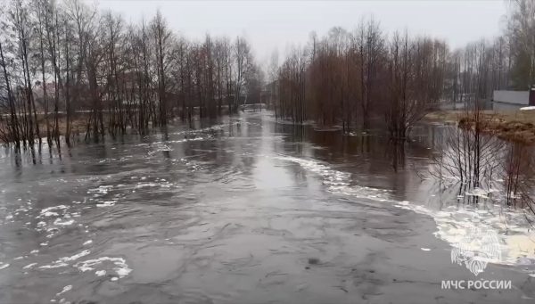 20 придомовых участков оказались подтоплены в Выксунском округе