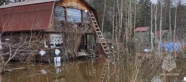 Более 1200 приусадебных участков остаются затопленными в Нижегородской области