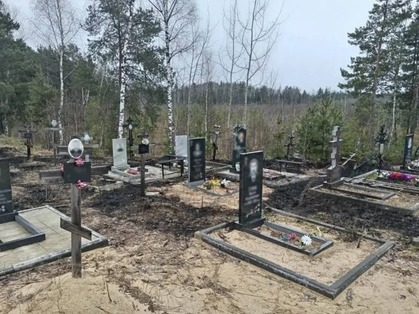 Нижегородское кладбище пострадало после поджога травы