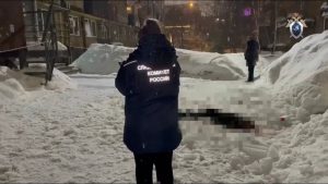 Двое альпинистов предстанут перед судом за сход наледи, убивший девушку