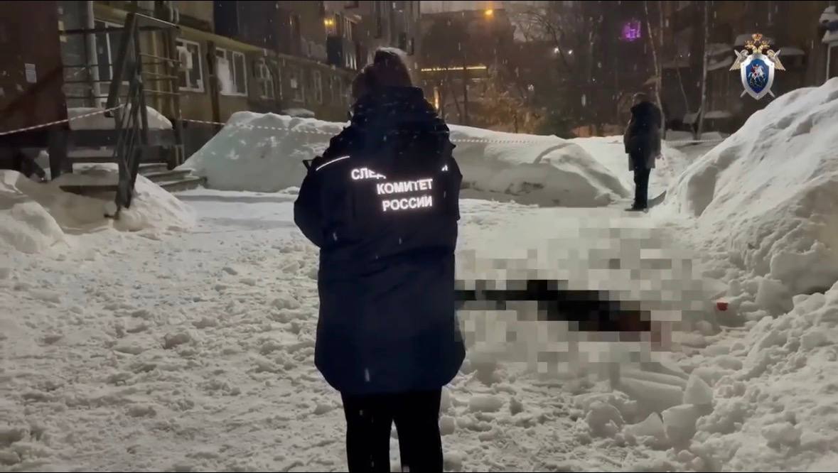 Двое альпинистов предстанут перед судом за сход наледи, убивший девушку