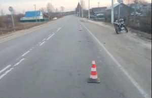 Мужчина на мопеде сбил собаку в Уренском округе