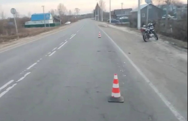 Мужчина на мопеде сбил собаку в Уренском округе