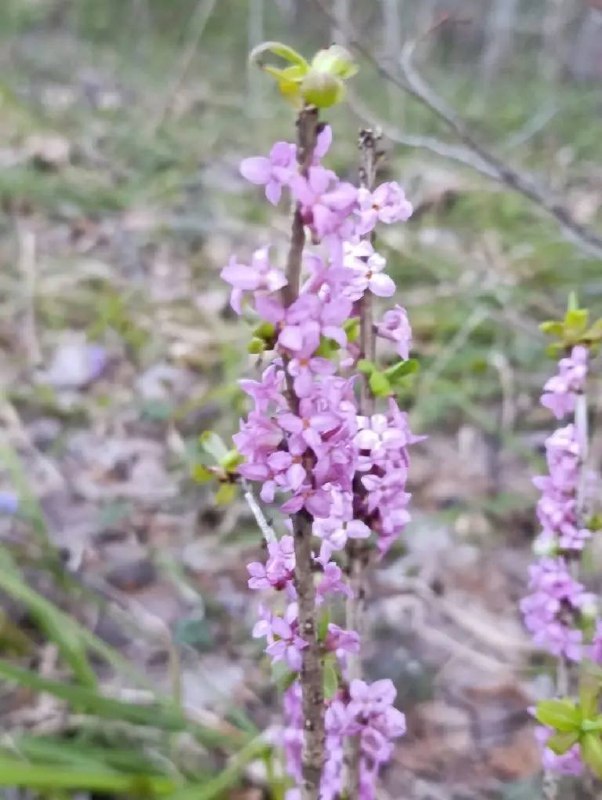Фото: Минсельхоз Нижегородской области