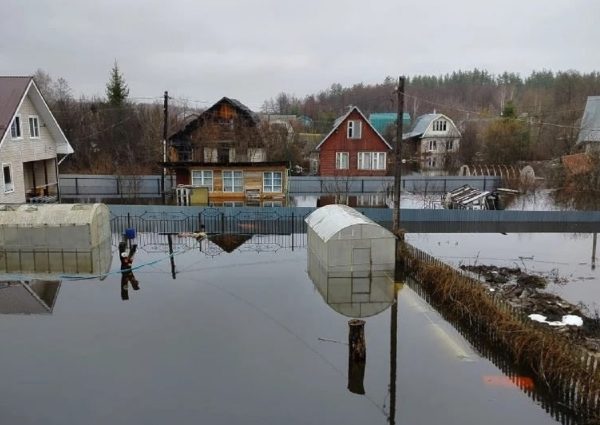 Садовое товарищество на Бору ушло под воду из-за паводка