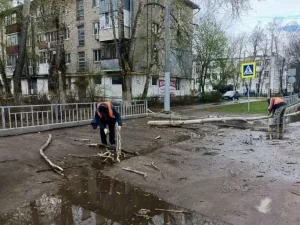 18 деревьев повалил сильный ветер в Нижнем Новгороде