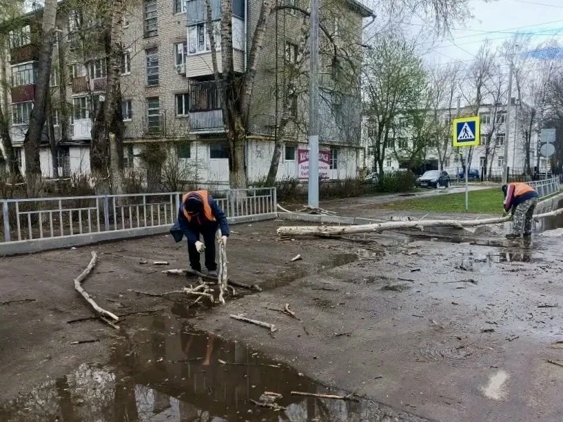 18 деревьев повалил сильный ветер в Нижнем Новгороде