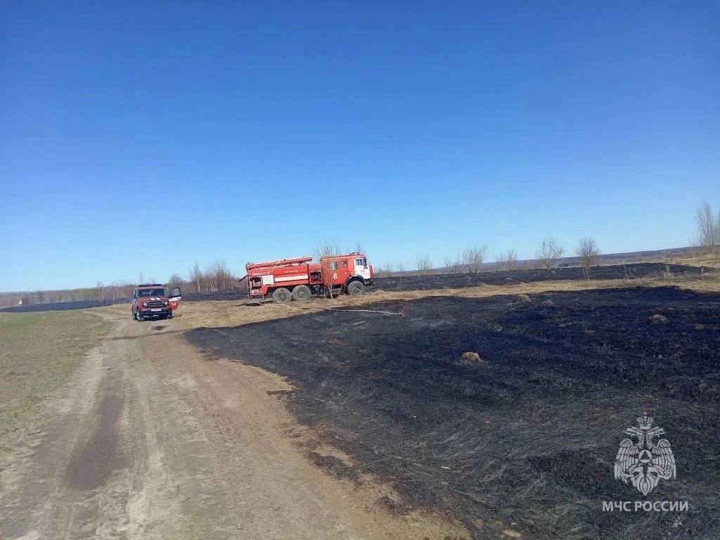 Сухая трава загорелась в Кстовском районе