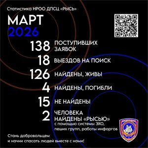 126 «потеряшек» нашли и вернули домой нижегородские волонтеры в&nbsp;марте