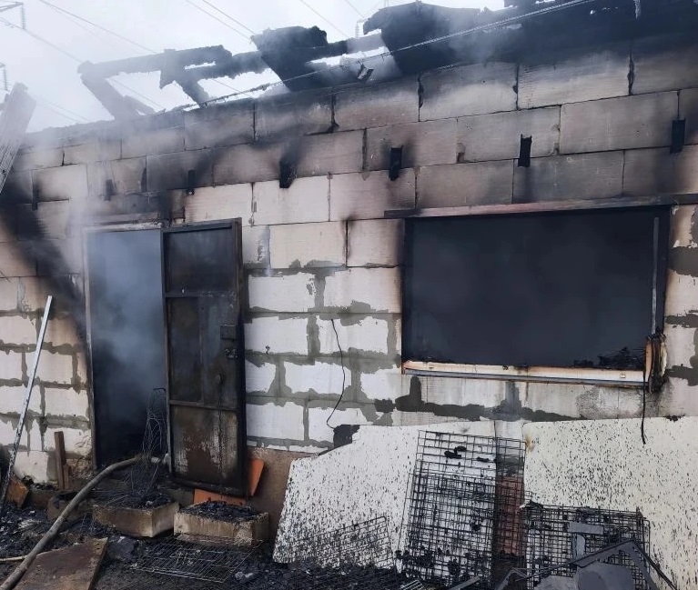 200 собак погибли на пожаре в Ленинском районе