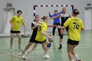 В Кстове пройдёт финал в первой лиге женского чемпионата России по гандболу