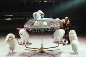 Фотоархив шоу Гии Эрадзе «Песчаная сказка»