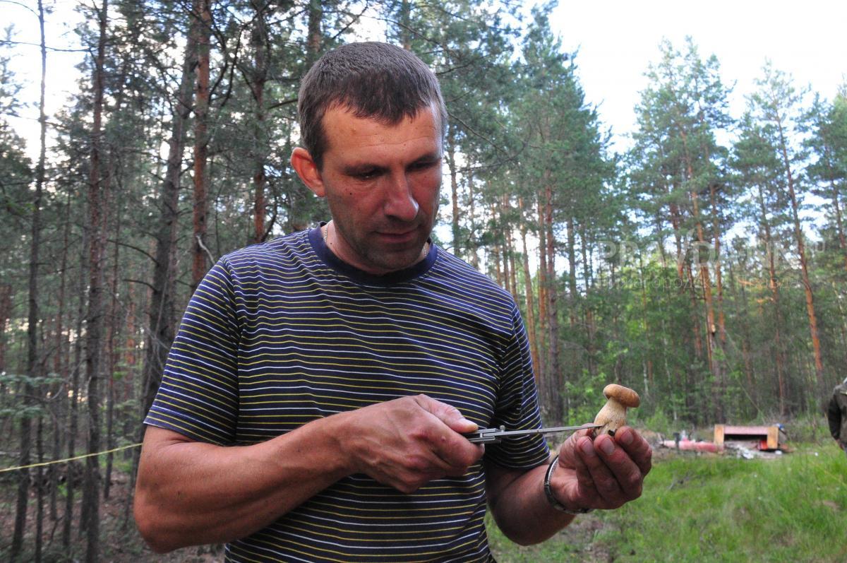 Нижегородцам рассказали, чем опасны первые весенние грибы