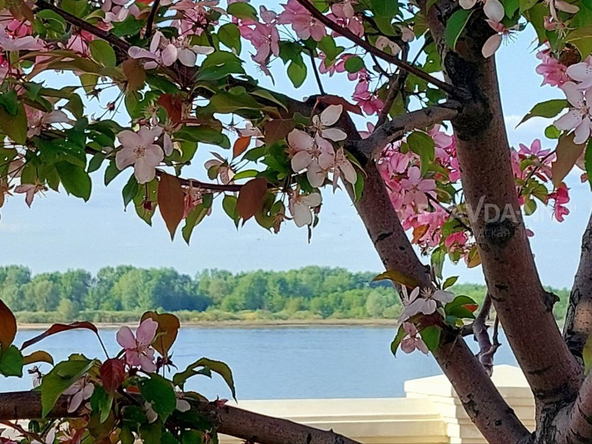 Синоптики рассказали, каким будет май в Нижегородской области