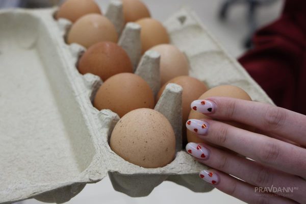 Яйца без риска: как не подхватить сальмонеллу и правильно хранить пасхальные угощения