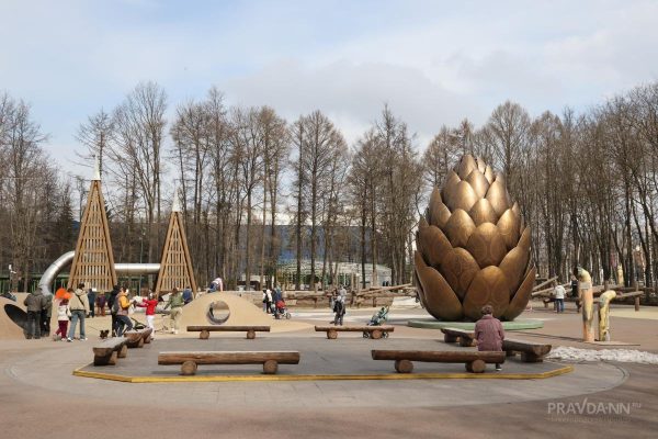 Нижегородская «Швейцария» стала лучшим детским парком России