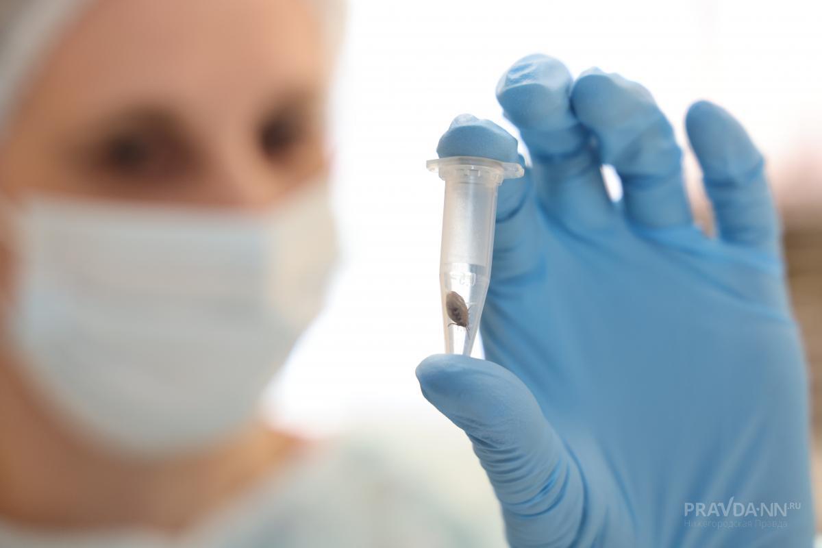 322 нижегородца пострадали от укусов клещей