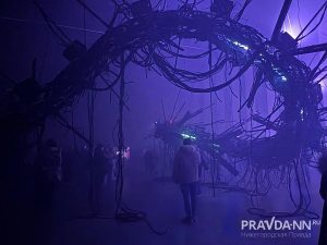 Майя Симакина