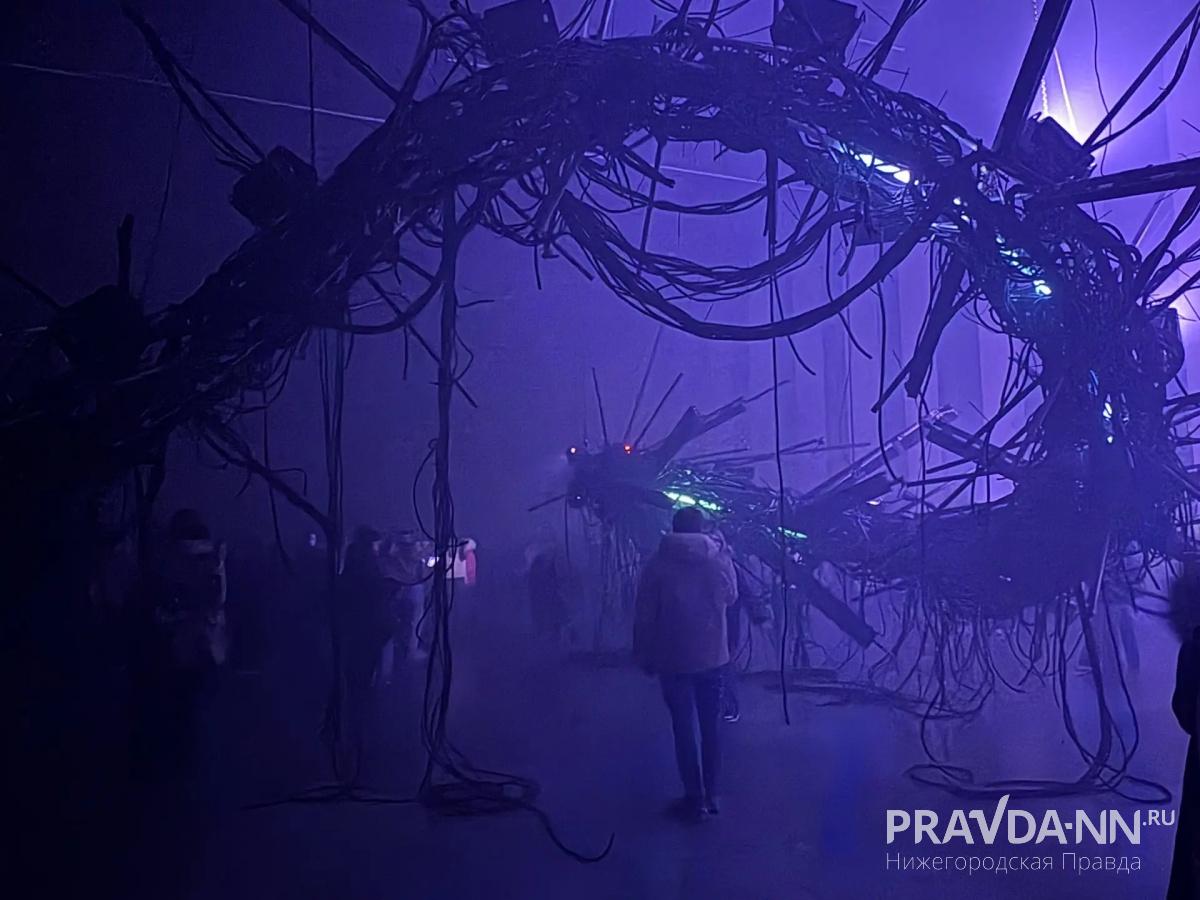 Майя Симакина