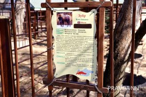 Максим Герасимов