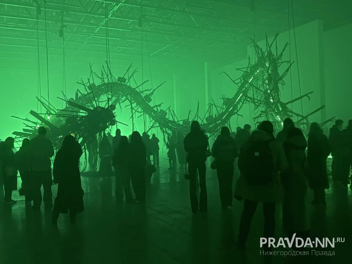 Майя Симакина