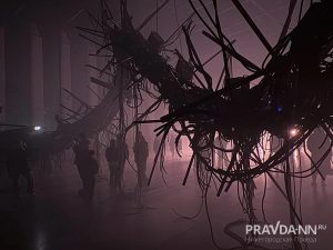 Майя Симакина