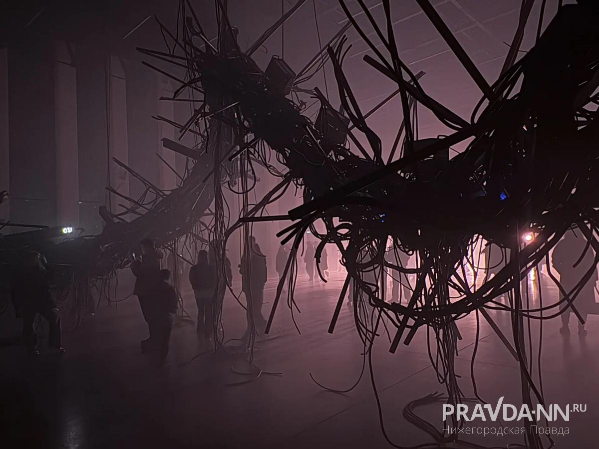 Майя Симакина