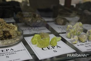 Кира Папилова