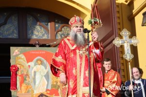 Александр Воложанин