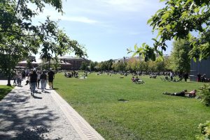 В Петербурге власти увеличат площадь парков и скверов почти на 80&nbsp;га